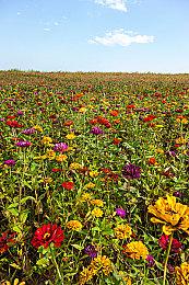 《暗黑地牢2》首个DLC将于12月推出 新增两位英雄